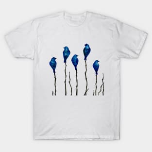 Birds of a feather T-Shirt